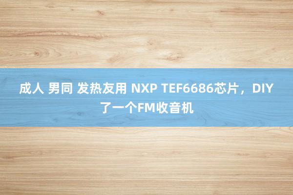 成人 男同 发热友用 NXP TEF6686芯片，DIY了一个FM收音机