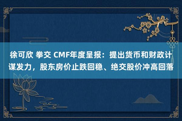 徐可欣 拳交 CMF年度呈报：提出货币和财政计谋发力，股东房价止跌回稳、绝交股价冲高回落