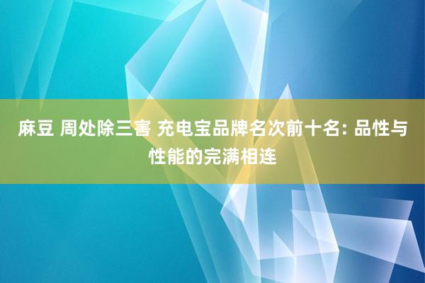 麻豆 周处除三害 充电宝品牌名次前十名: 品性与性能的完满相连