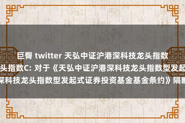 巨臀 twitter 天弘中证沪港深科技龙头指数A，天弘中证沪港深科技龙头指数C: 对于《天弘中证沪港深科技龙头指数型发起式证券投资基金基金条约》隔断的公告