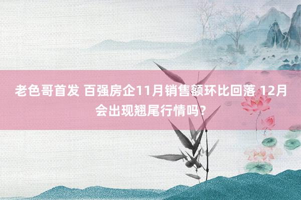 老色哥首发 百强房企11月销售额环比回落 12月会出现翘尾行情吗？