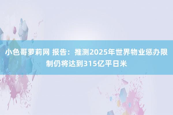 小色哥萝莉网 报告：推测2025年世界物业惩办限制仍将达到315亿平日米