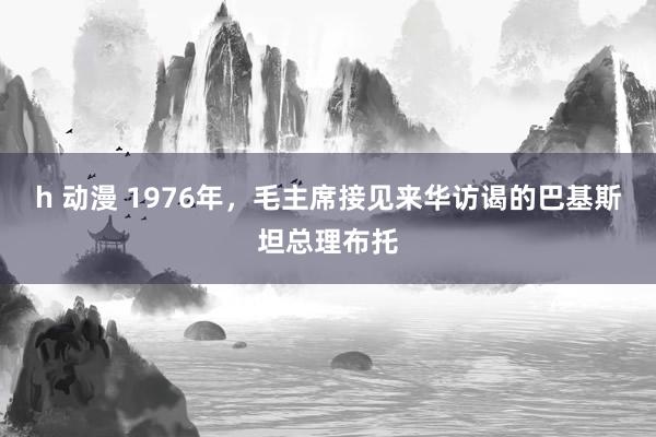 h 动漫 1976年，毛主席接见来华访谒的巴基斯坦总理布托