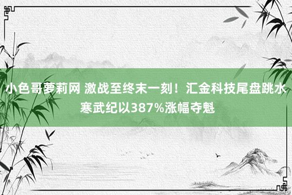 小色哥萝莉网 激战至终末一刻！汇金科技尾盘跳水 寒武纪以387%涨幅夺魁