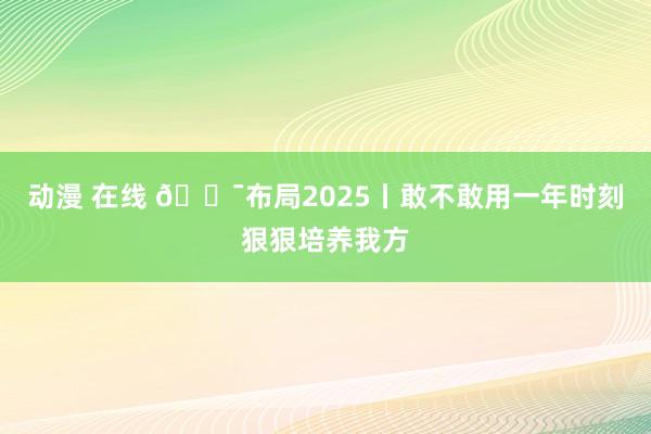 动漫 在线 🎯布局2025丨敢不敢用一年时刻狠狠培养我方