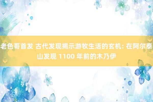 老色哥首发 古代发现揭示游牧生活的玄机: 在阿尔泰山发现 1100 年前的木乃伊