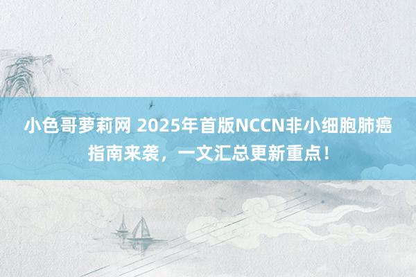 小色哥萝莉网 2025年首版NCCN非小细胞肺癌指南来袭，一文汇总更新重点！