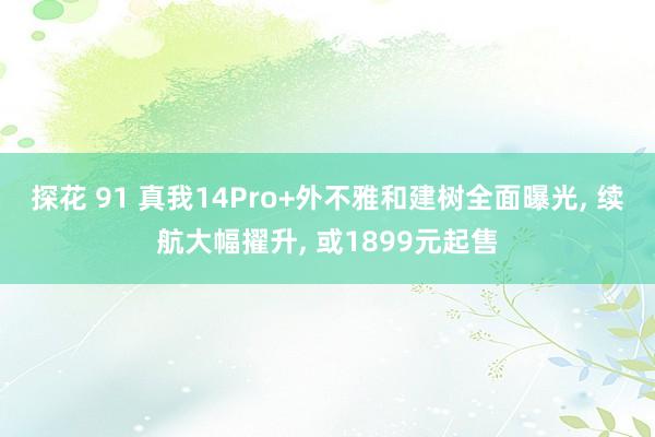 探花 91 真我14Pro+外不雅和建树全面曝光， 续航大幅擢升， 或1899元起售