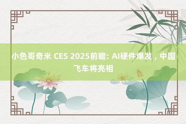 小色哥奇米 CES 2025前瞻: AI硬件爆发 ， 中国飞车将亮相