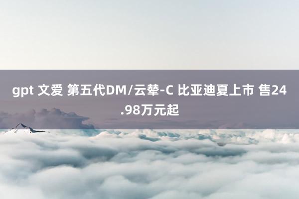 gpt 文爱 第五代DM/云辇-C 比亚迪夏上市 售24.98万元起