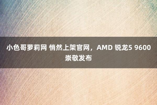 小色哥萝莉网 悄然上架官网，AMD 锐龙5 9600崇敬发布