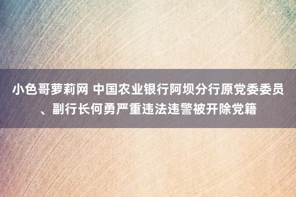 小色哥萝莉网 中国农业银行阿坝分行原党委委员、副行长何勇严重违法违警被开除党籍