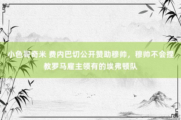 小色哥奇米 费内巴切公开赞助穆帅，穆帅不会捏教罗马雇主领有的埃弗顿队