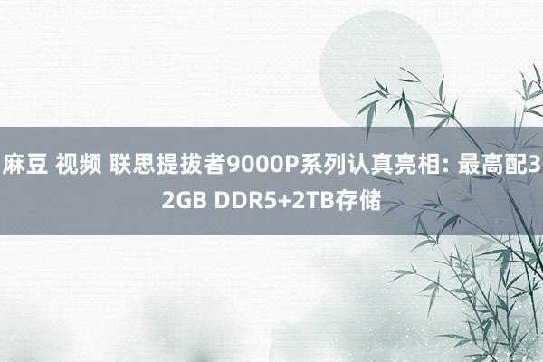 麻豆 视频 联思提拔者9000P系列认真亮相: 最高配32GB DDR5+2TB存储