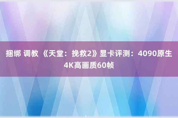 捆绑 调教 《天堂：挽救2》显卡评测：4090原生4K高画质60帧