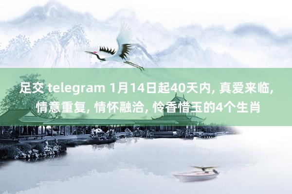 足交 telegram 1月14日起40天内， 真爱来临， 情意重复， 情怀融洽， 怜香惜玉的4个生肖