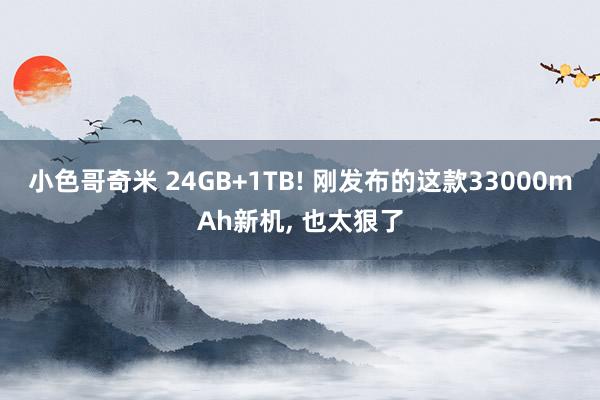 小色哥奇米 24GB+1TB! 刚发布的这款33000mAh新机， 也太狠了