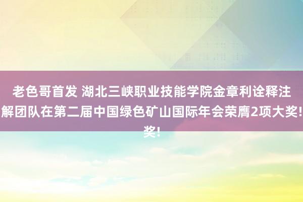 老色哥首发 湖北三峡职业技能学院金章利诠释注解团队在第二届中国绿色矿山国际年会荣膺2项大奖!